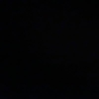 y26235948's profile picture. りん