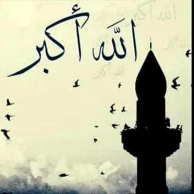 MoamenMosallm's profile picture. Keep trying, Don’t give up 💪😈