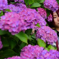 菜那@9/7a! (@lmtty74) 's Twitter Profile Photo