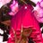 Profile image of Nyrlena 🩰🪞 Donothon 🔛 04/08