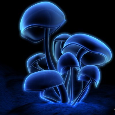 tonio573's profile picture. 