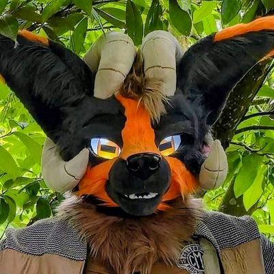 Asphox Profile