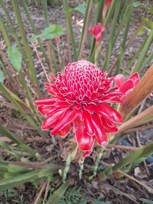 trungnguye39917's profile picture. 