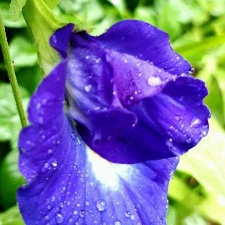 OnlyJeet070's profile picture. Simplycity is the Best policy

Beleive in yourself.. 

#Darkeaagejeethai

#Techincalchartist

Not SEBI Registered....

Educational and knowledge purpose only