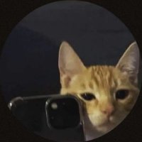 Ash (@mugiwaraash) 's Twitter Profile