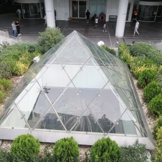 arshedaha's profile picture. 