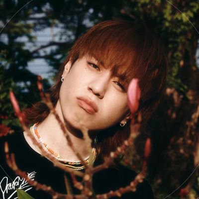 #wonwoo: don't care too much about others, love and trust yourself more. -
she/her | multi