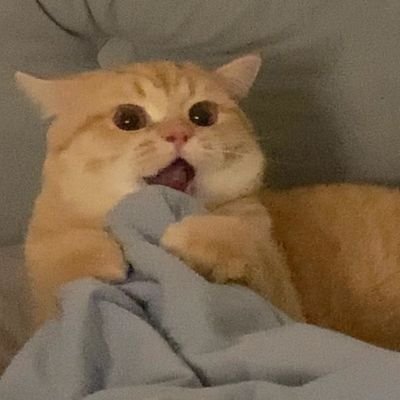 meiizhx's profile picture. @skywongraveee @Hirunkit_  ( skynani )