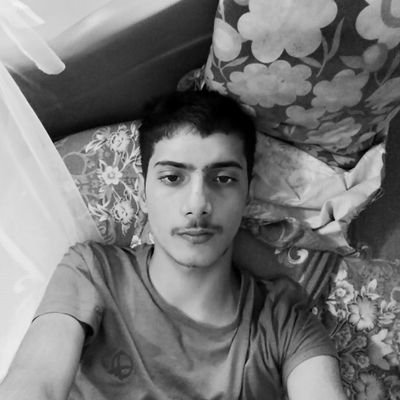 Notreallyankeet's profile picture. 