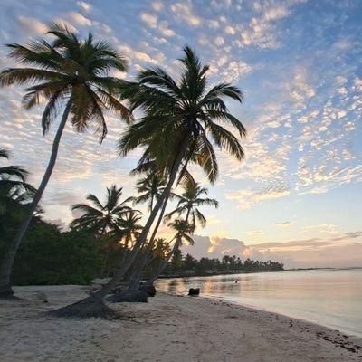 carla7717768675's profile picture. 