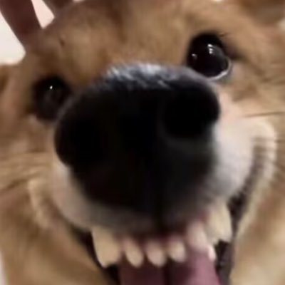 Xtxlxtl's profile picture. 