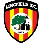 Lingfield FC U18 (@lingfieldu18) 's Twitter Profile Photo
