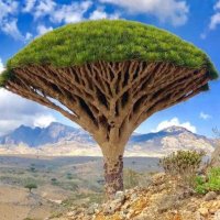 إبن الجزيرة الساحرة (@son_the95317) Twitter profile photo