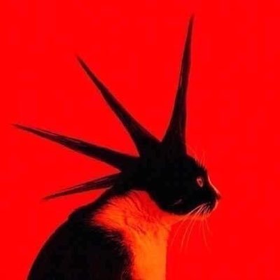 jnvann's profile picture. head over heels by tears for fears