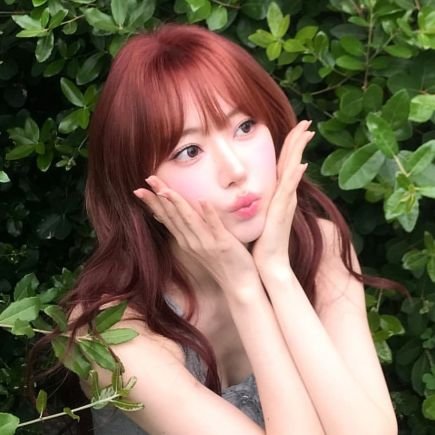 le_39fimiz's profile picture. LESSERAFIM❀Sakura/WHIB𓃠Junmin/IZ*ONE/BOYNEXTDOOR/KATSEYE/幻想水滸伝/スティッチエンジェル/サンリオ/ポケモン/漫画/アニメなどなど雑食です