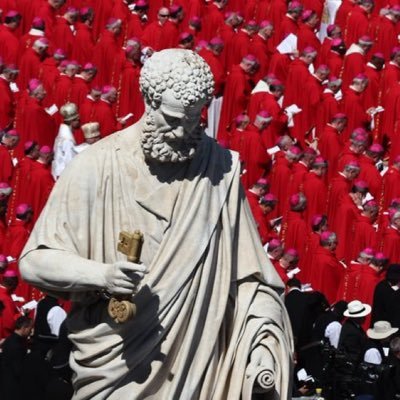 plessis_chat's profile picture. 