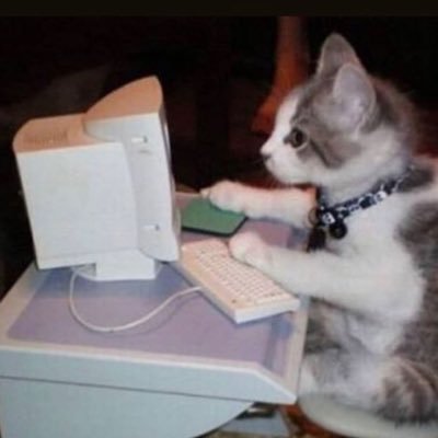 marinacybersec's profile picture. Cyber Security | #studytwt #gametwt #ggstan