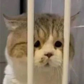 aid5_h's profile picture. 개짬찌
(한동안 휴식)
인스타: @aid.zh5