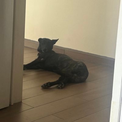 ManuelAgus50882's profile picture. 