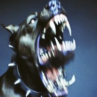 braj (@saturnxhex) 's Twitter Profile