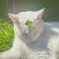 ๐ฟ๐ฎ๐ฒ | future iska ๐๐ป (@_iskolarae) 's Twitter Profile