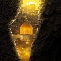 🔻أبو كنان🔻 (@abo_kenan92) Twitter profile photo