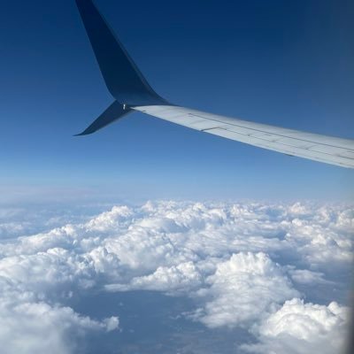 tash_49's profile picture. You only die once!