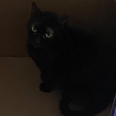 GudManSquidward's profile picture. https://t.co/3dwOm0QN7v