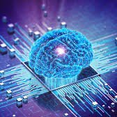 louis_sean88135's profile picture. 