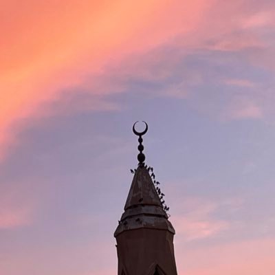 awabo_0's profile picture. شوارد شردت من شارد