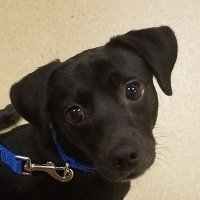 ToriJacobson (@torijacobson03) 's Twitter Profile