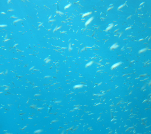 WaterSofteners3's profile picture. Soft water means soft skin and less lime scale to clog up and contaminate your water.