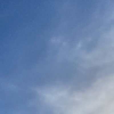 cingelidta's profile picture. 