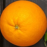 🍊 (@orange7275o) 's Twitter Profile Photo 🍊 (@orange7275o) 's Twitter Profile Photo