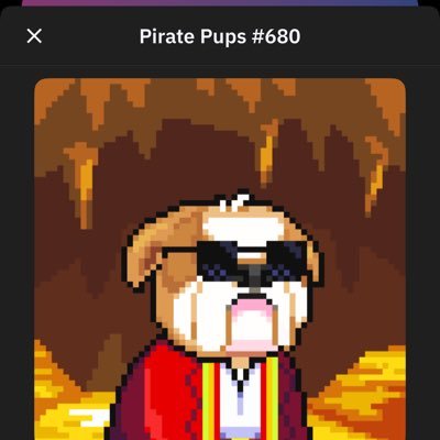 biancaheyting's profile picture. largest piratepup collector @radix