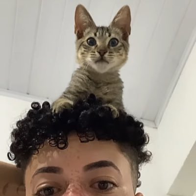 lucneite's profile picture. pagando de doido em prol da minha saúde mental