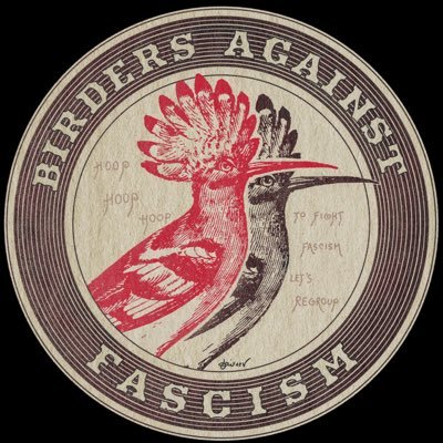 PPRREEROLL's profile picture. never stop posting crap no matter what. saving for article writer status next month!! Colin Dunlaps bully.