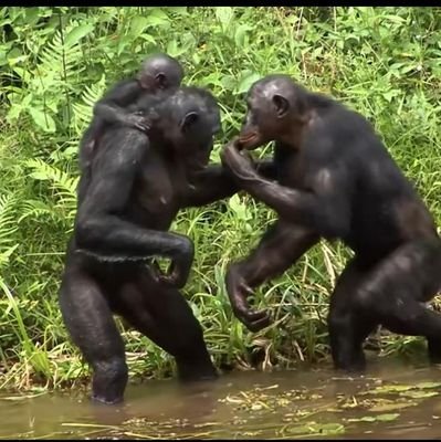 #इश्वर एक बिस्वास अनेक# हरि ॐ
#यो देश बन्दैन ,देशको बारेमा बोलेर सत्रु कमाउनु भन्दा चुपचाप देश छोड्न राजी भएको मान्छे #
#पार्टिको नमक नखाएको मान्छे #