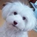 Snow falls on ______ (@imgyeouli) Twitter profile photo Snow falls on ______ (@imgyeouli) Twitter profile photo