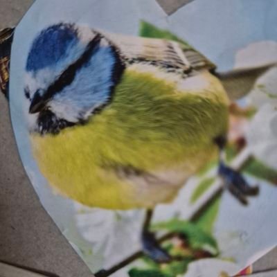 imagecapture27's profile picture. 