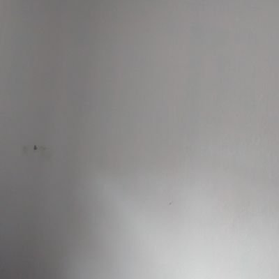 DanielaLeo19805's profile picture. 