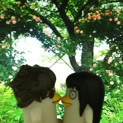 くろこさんのプロフィール画像