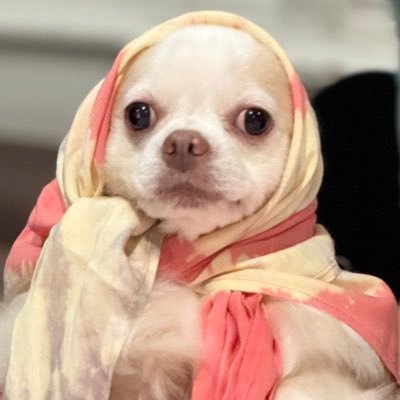 O4631969857639's profile picture. 