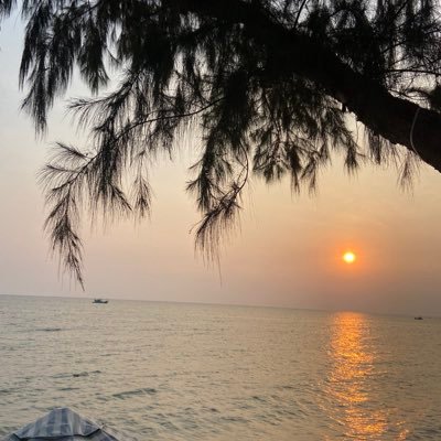 msglyv's profile picture. 