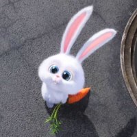 삥 (@bbsang1sz) 's Twitter Profile Photo 삥 (@bbsang1sz) 's Twitter Profile Photo
