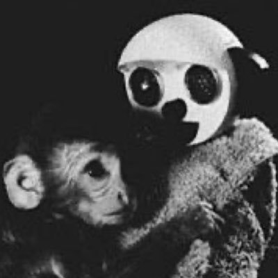 pillwope's profile picture. 