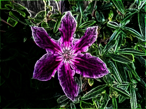 mikkie480's profile picture. 