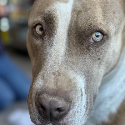 Scxrx__'s profile picture. 