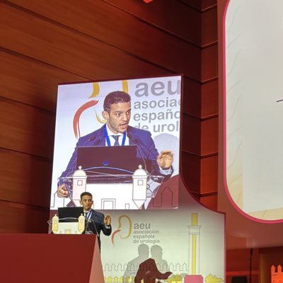 Urologist, PhD. Urooncology. Kidney transplant. Hospital Universitario Ramon y Cajal. IRYCIS. Universidad de Alcalá. Ass. Edi @actasurologicas