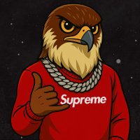 Falcon (@100xfalcon) 's Twitter Profile Photo